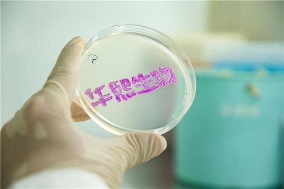 勞永逸的產品及業務模式,在不斷的創新之下,華熙生物已從透明質酸研發