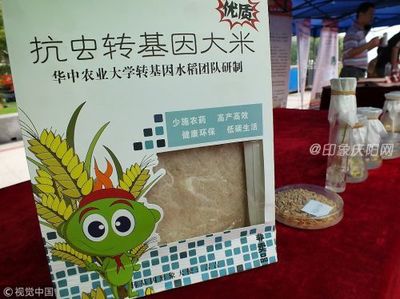 打印_我國轉基因水稻獲美FDA食用許可 國內尚未批準推廣