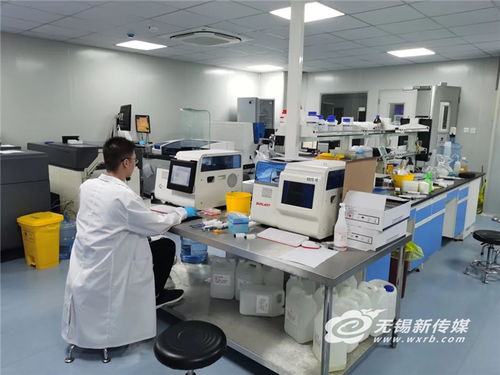 無錫 小巨人 深耕細分領域,十年磨一劍練就 獨門絕技