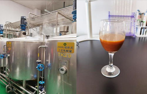 寧夏 紅棗高值化健康產品加工關鍵技術研究與示范 項目通過驗收