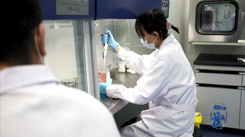 科創中心 核 動力 博爾邁生物 搭建精準醫學時代的細胞治療試劑平臺