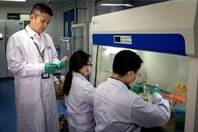 京滬粵企業高校將合作研發新冠病毒疫苗,爭取快速啟動