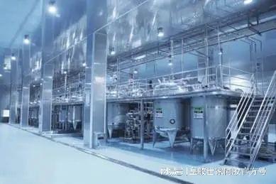 小分子肽 健康新寵,生物酶解技術守護活性精華