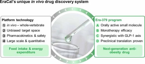 瑞士生物科技公司eracal therapeutics采用斑馬魚的表型篩選平臺,成功研發出安全有效的肥胖癥藥物 瑞士創新100強