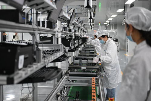 雄安七年 拔節(jié)生長建新城