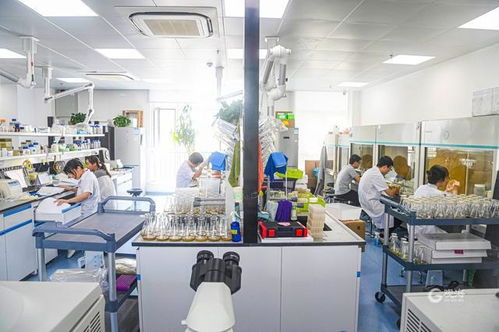 觀海新聞記者援藏日記132 強化社會力量支持,讓援藏內(nèi)涵不斷豐富