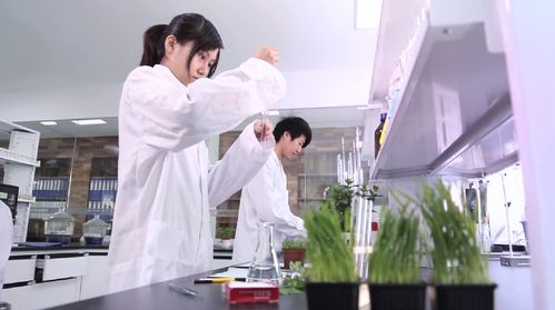 研發(fā)一線 當生物發(fā)酵技術(shù)成行業(yè)風向,如何抓住機遇
