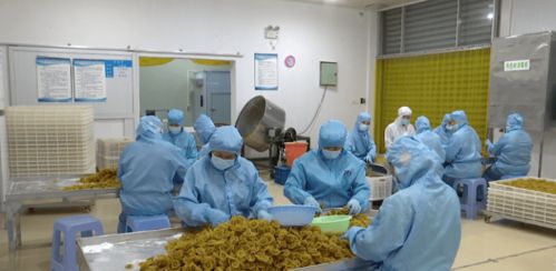 陽弘生物科技 匠心研發(fā) 兩線 同推 云霄味