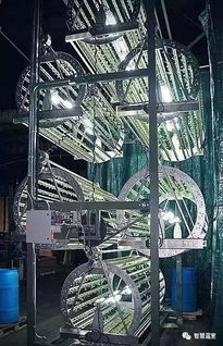 全球各式植物工廠圖文大賞
