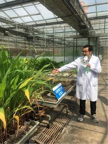 科技助力農業發展 把飯碗牢牢端在自己手中