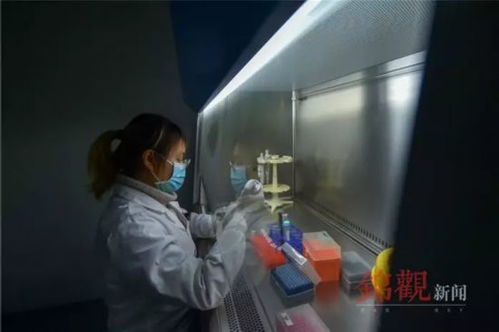 向著春天 來自戰 疫 前沿的企業報道