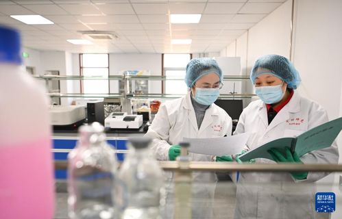 新華全媒 京津聯動助推科研創新產業集聚