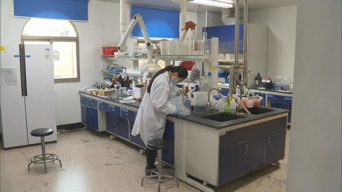 強強聯手 揚子江藥業集團與上海交通大學簽約打造生物藥研發實驗室,落戶周浦