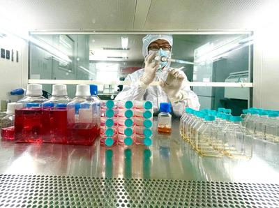 新生小牛能為新冠疫苗做些什么?