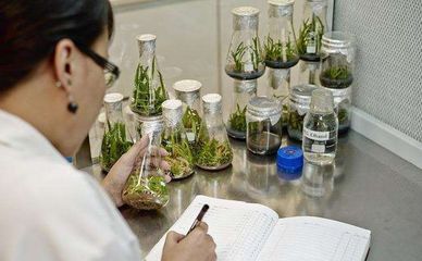 生物工程專業(yè)該考研嗎?