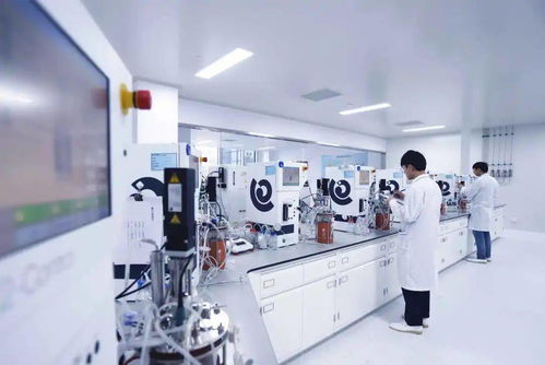 齊魯制藥入選 中國bigpharma企業(yè)創(chuàng)新力top10排行榜