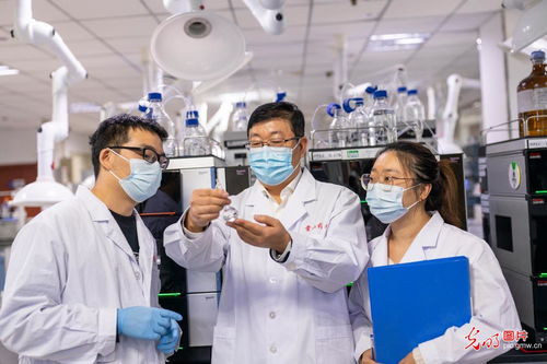 河北正定 科技創(chuàng)新引領(lǐng)高質(zhì)量發(fā)展