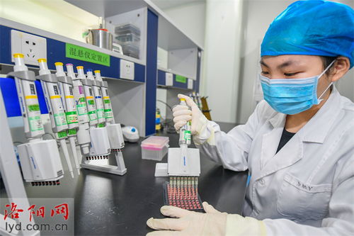 洛陽惠中生物技術 堅持創新引領 保持行業領先