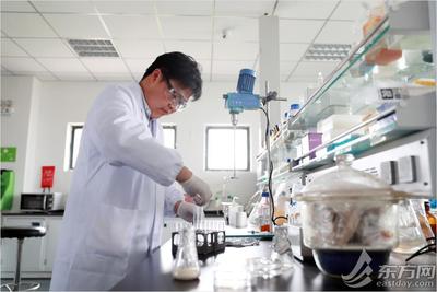“中國品牌日”探營光明乳業研究院 你喝的牛奶在此研發