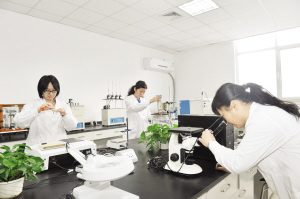 泰倫特公司依靠科技實力為發展備足后勁-新聞中心-北方網