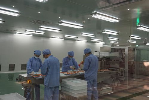 工業項目全市集中觀摩 信陽為發展尋路徑 找方法
