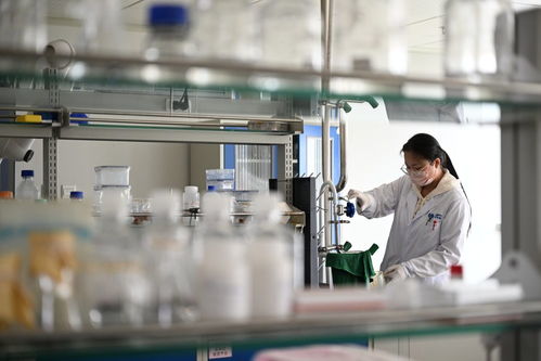 創新求質 以融破題 向海圖強 天津民營經濟高質量發展成果見聞