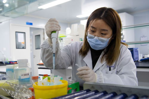 老工業區里的新興力量