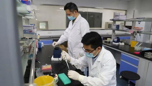 科技抗疫 新冠病毒核酸檢測提速,滬企將時間縮短至1小時