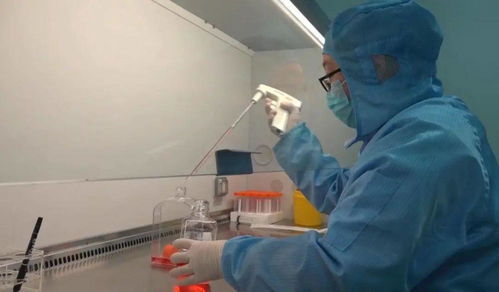全球首創 濟南企業研發的細菌溶瘤1類生物新藥獲批ⅱ期臨床試驗