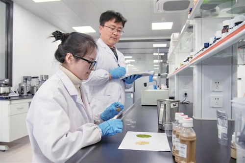 安琪集團蛋白質營養與調味技術中心實驗室捷報頻傳 創新讓酵母蛋白走向大眾餐桌