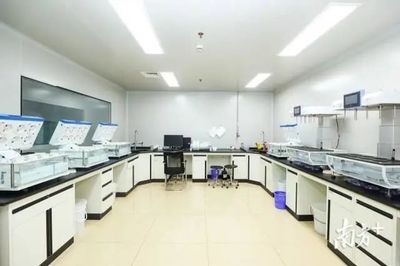 十年布局生物醫藥,松山湖將打造“加強版”產業集群