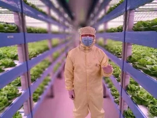 植物工廠 90 不盈利,但產品符合消費趨勢,未來價值可期