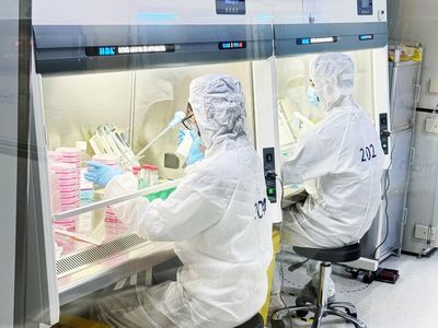 布林凱斯用病毒載體破解"大腦黑匣子",技術方案落地全球500余家科研機構
