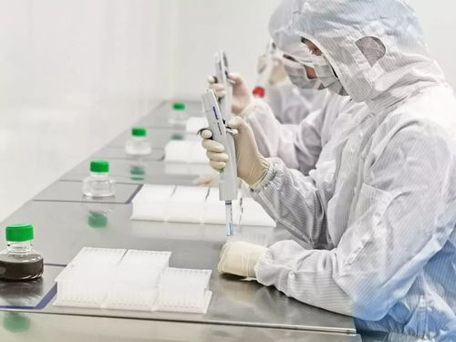 硬核 大渡口生物醫藥企業研發出新冠病毒核酸檢測試劑盒,已完成臨床測試
