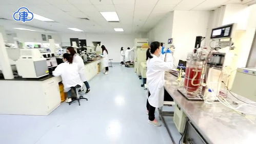 沖刺一季度 國家合成生物技術創新中心研發區即將投用