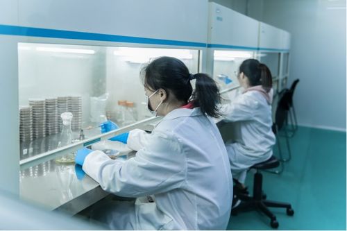 凱賽生物 加速 掘金 超千億合成生物賽道 新質生產力看張江