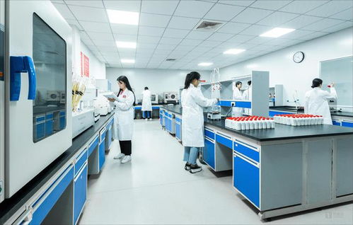 白酒科技 怎么服務微生物 茅臺鎮國臺酒的現代化故事給了一個答案
