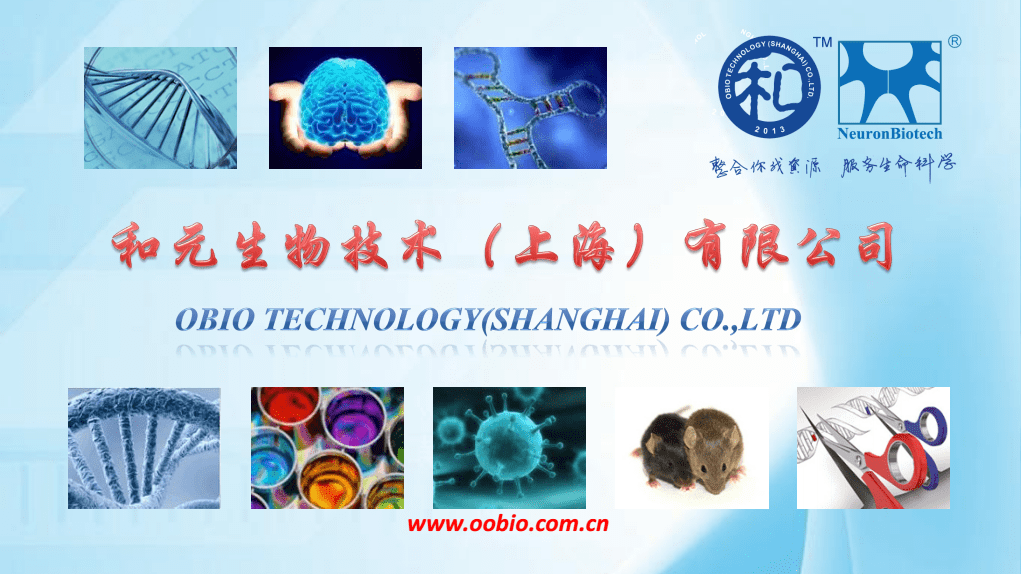 輻射全球的病毒載體研發及包裝cro中心.pdf