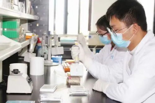 央企 疫苗戰隊 背后的故事 星夜兼程 全力出擊,創造多個 全球率先