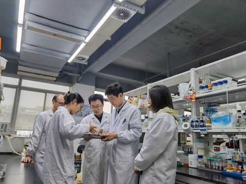 江南大學食品學院深化援疆合作 推動新疆食品科技產業升級