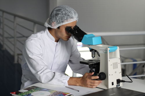 茵冠生物 獲香港上市公司 美瑞健康國際 戰略投資,專注細胞與基因生物技術創新研發
