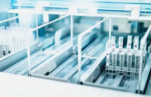 業績高增長難維持,研發費用存疑,雅睿生物闖關ipo勝算幾何