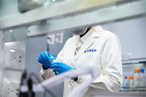 華熙生物 2023財(cái)報(bào)原料業(yè)務(wù)高質(zhì)量增長,海外業(yè)務(wù)表現(xiàn)亮眼