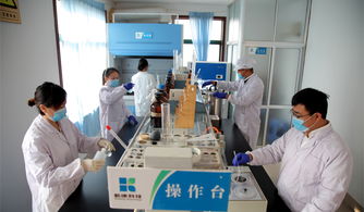 新康科技告訴您 如何有效提高貂狐貉的成活率