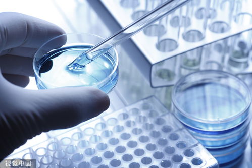 軒凱生物闖關科創板 毛利率持續下滑,九成主營業務來自單一應用領域 ipo觀察