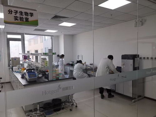 大興生物醫藥基地50家企業 馬不停蹄 研發生產抗疫產品