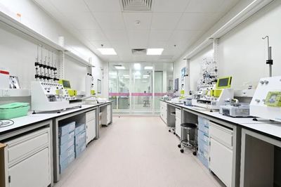 “創·在上海”的基因密碼:產業聚能為引領,區域孵化新生態 | 產業孵化篇