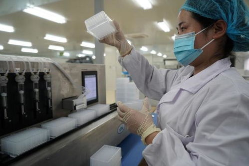 累計產出1500萬人份新冠病毒檢測試劑盒,從這里飛向全國