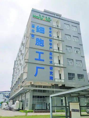 南寧漢和 逆境中更創佳績