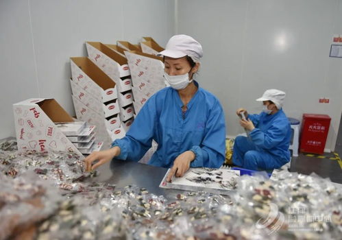 600萬美元 江津造 寵物食品,給力